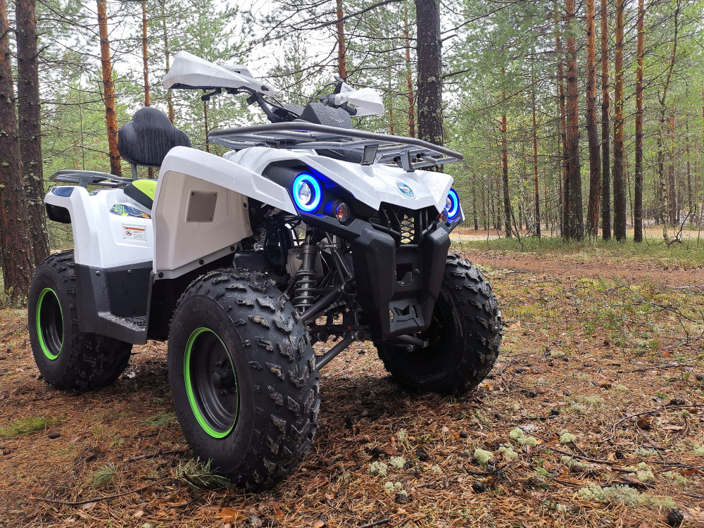 Квадроцикл PROMAX RENEGADE 280 (2025) в Нефтекамске