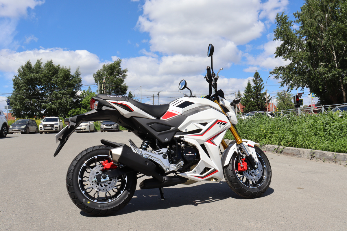 Мотоцикл PROMAX STRYKER 200(49) 2.0 в Нефтекамске