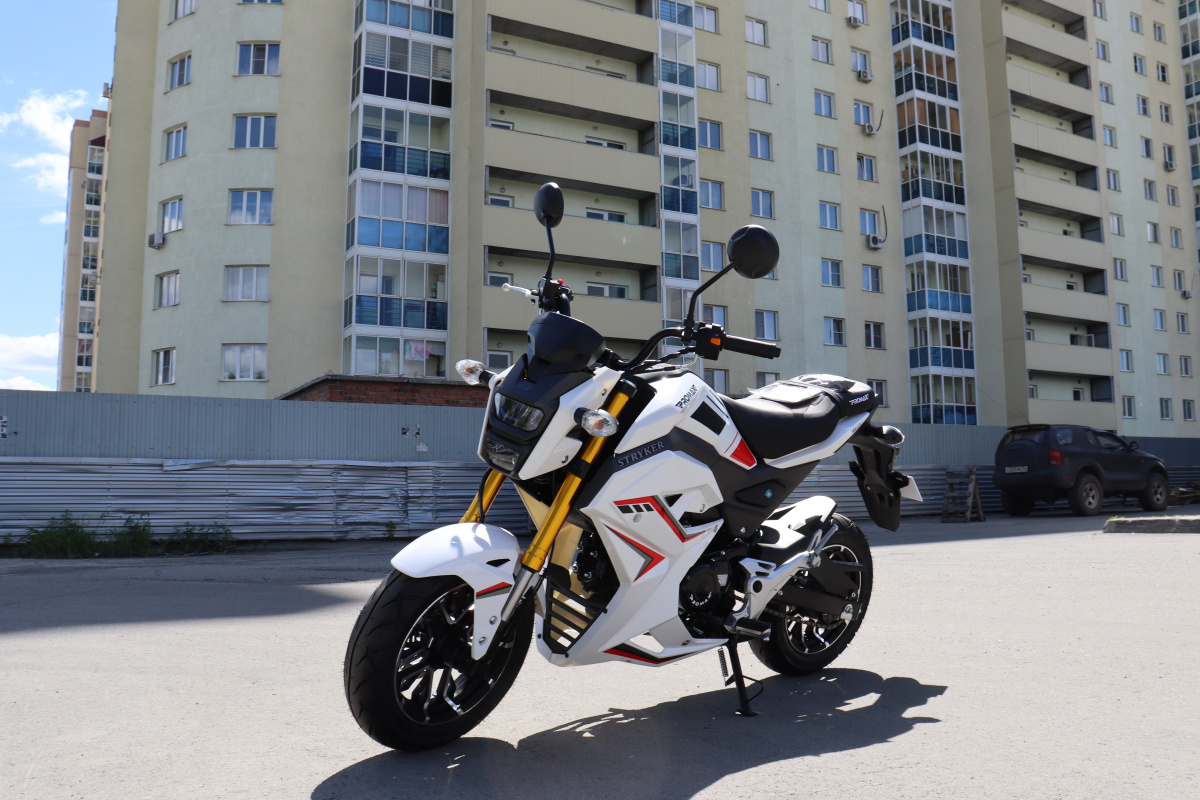 Мотоцикл PROMAX STRYKER 200(49) 2.0 в Нефтекамске