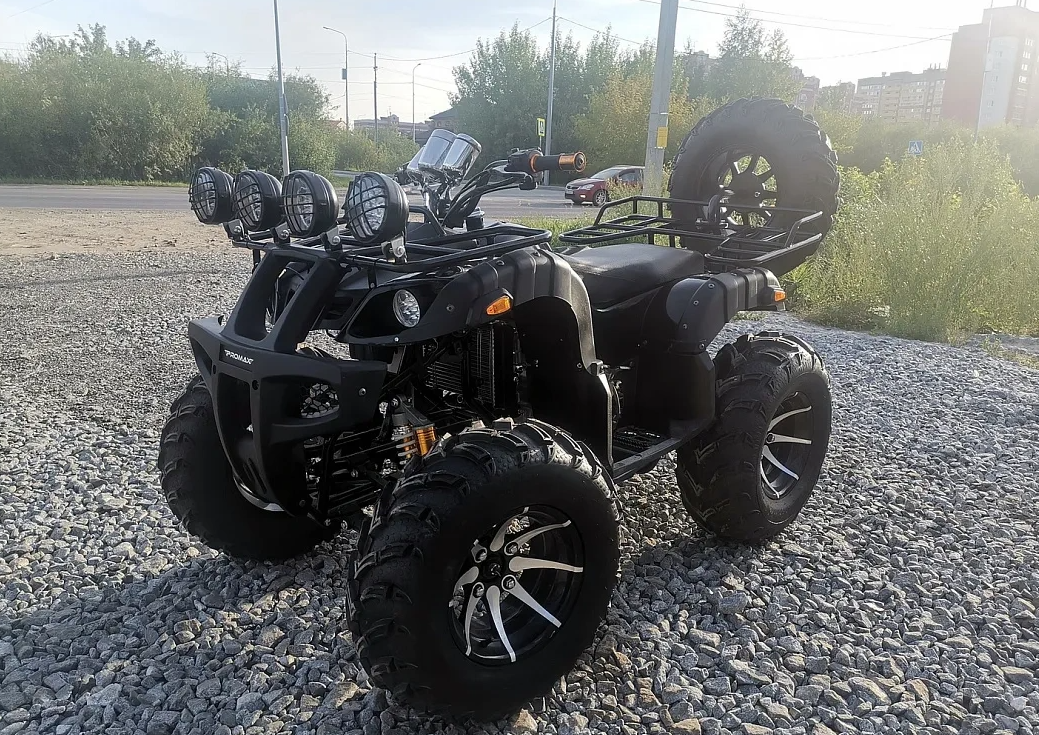 Квадроцикл PROMAX LEO 300 Max (кардан) в Нефтекамске