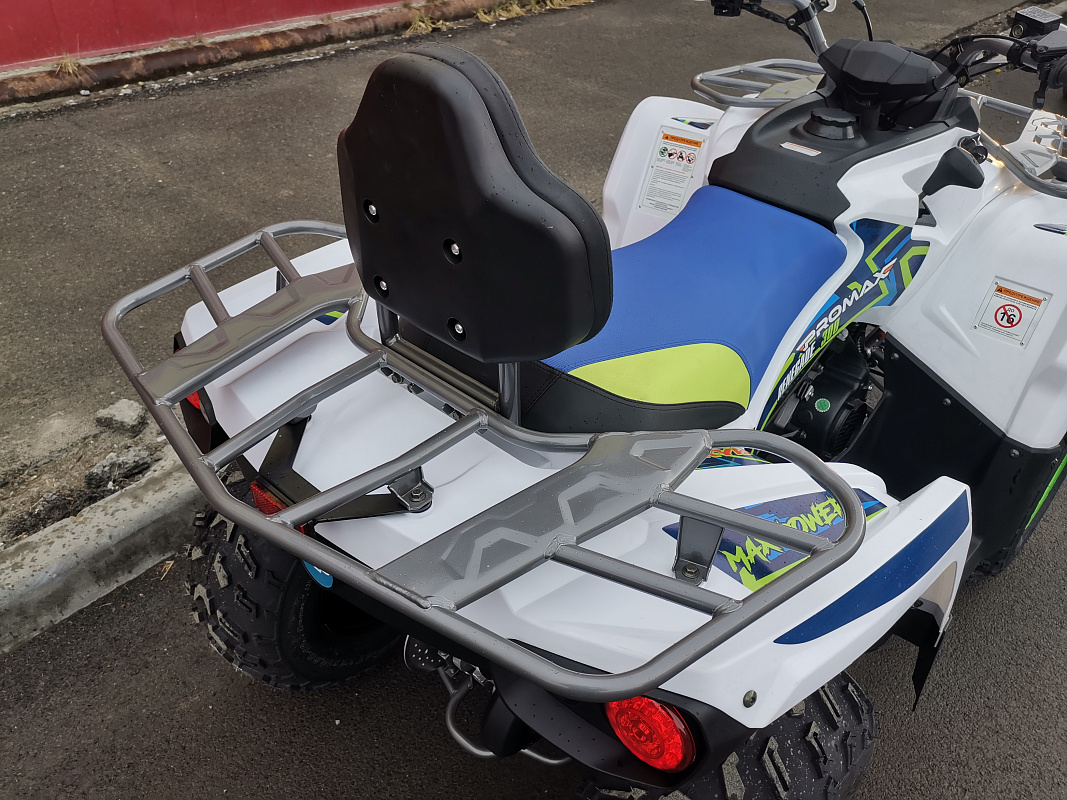 Квадроцикл PROMAX RENEGADE 280 LUX (2025) в Нефтекамске