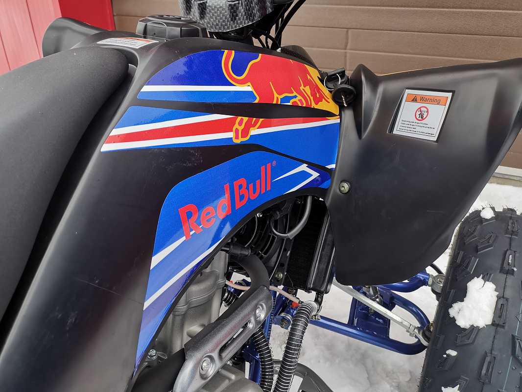 Квадроцикл PROMAX RAPTOR 300 NEW RedBull в Нефтекамске