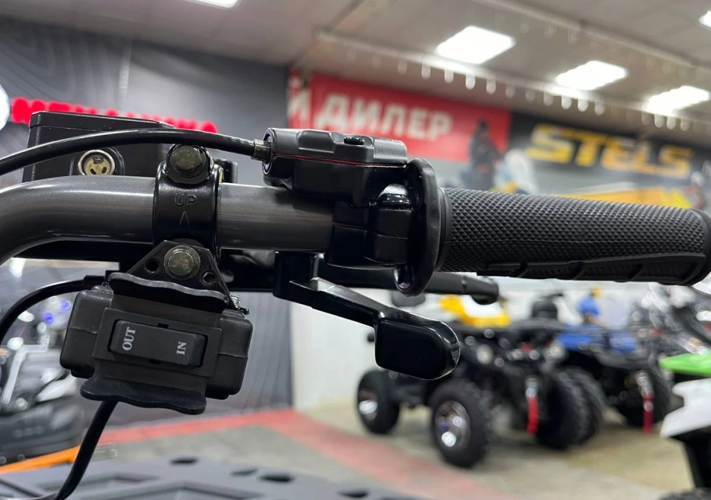 Квадроцикл PROMAX RENEGADE 300 LONG WINCH PRO (2025) в Нефтекамске