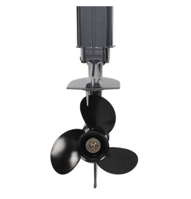 Лодочный мотор ALLFA CG Т40FW S в Нефтекамске