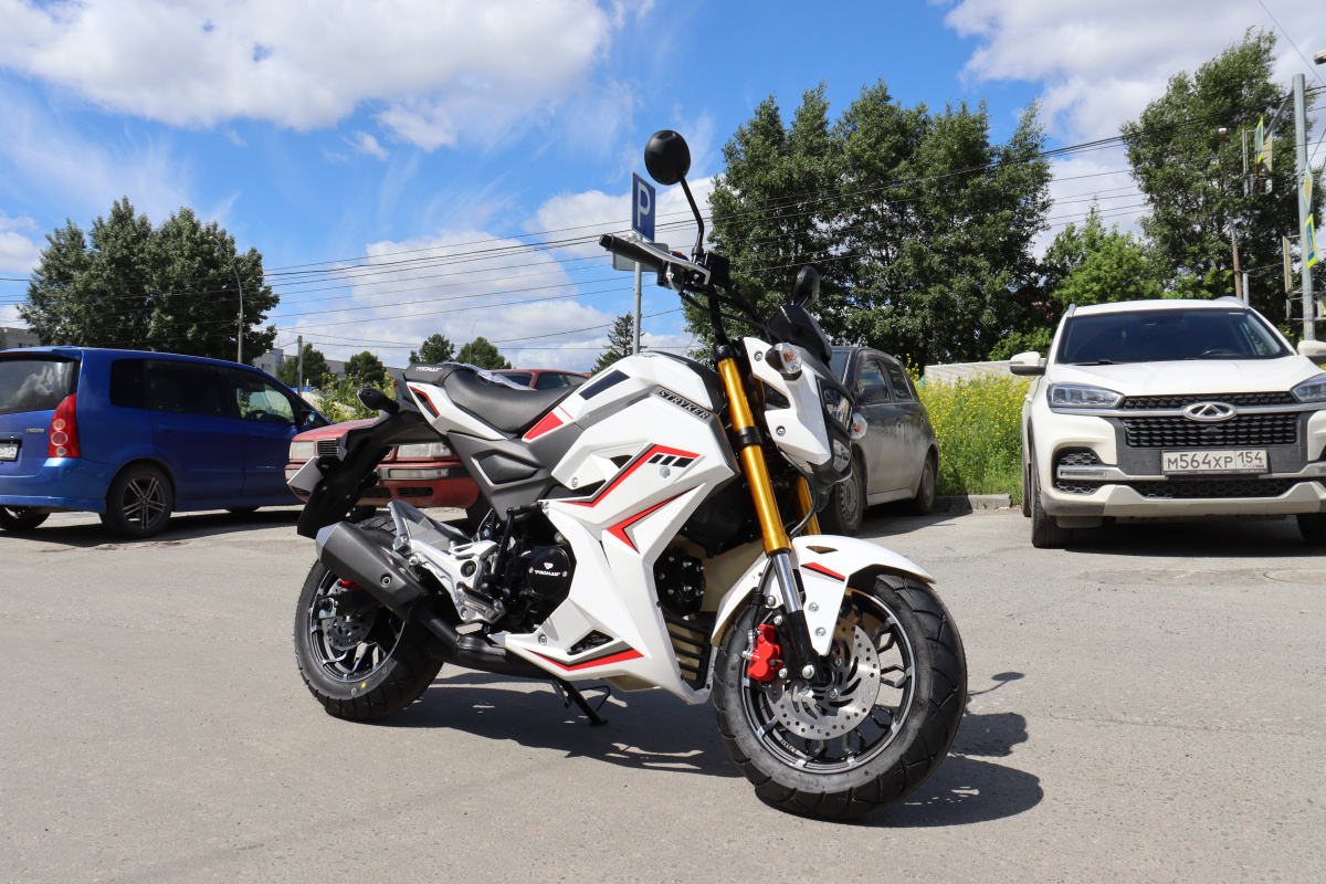 Мотоцикл PROMAX STRYKER 200(49) 2.0 в Нефтекамске