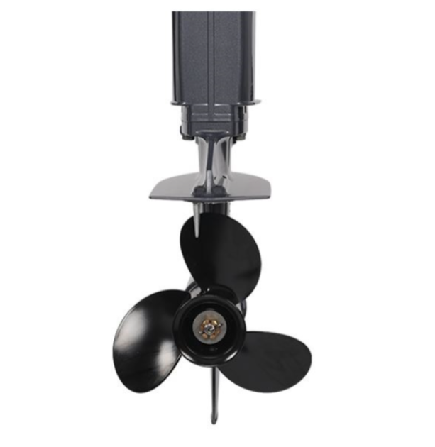 Лодочный мотор ALLFA CG Т40FWT S в Нефтекамске