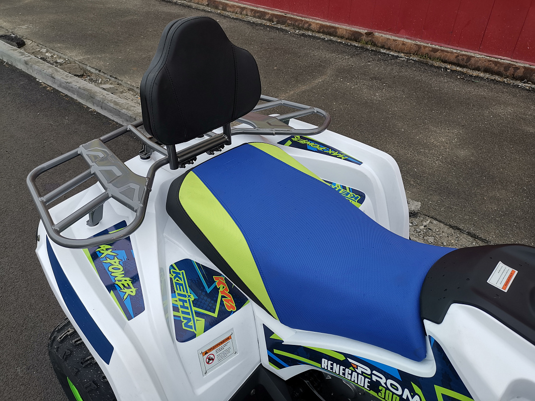 Квадроцикл PROMAX RENEGADE 280 LUX (2025) в Нефтекамске