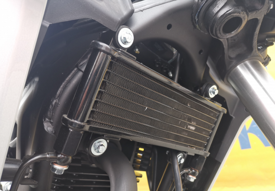 Мотоцикл MOTOLAND (МОТОЛЕНД) 250 CB250 (172FMM-5/PR250) (2022 г.) в Нефтекамске