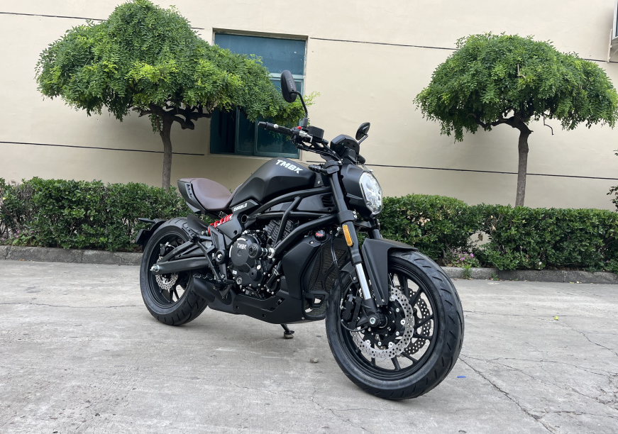 Мотоцикл TMBK Diablo 650cc EFI, ABS в Нефтекамске