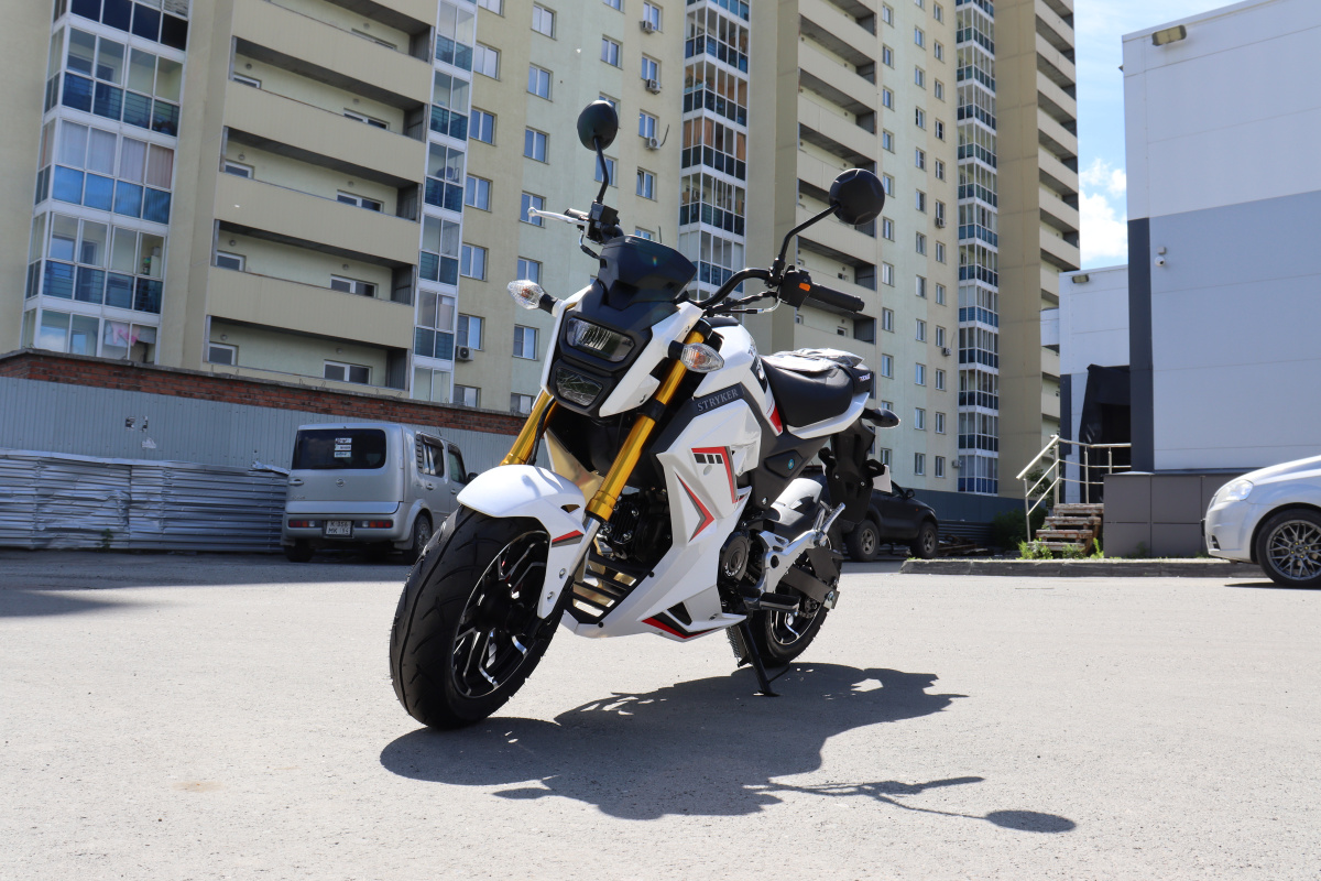 Мотоцикл PROMAX STRYKER 200(49) 2.0 в Нефтекамске
