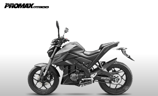 Мотоцикл PROMAX MT300 в Нефтекамске