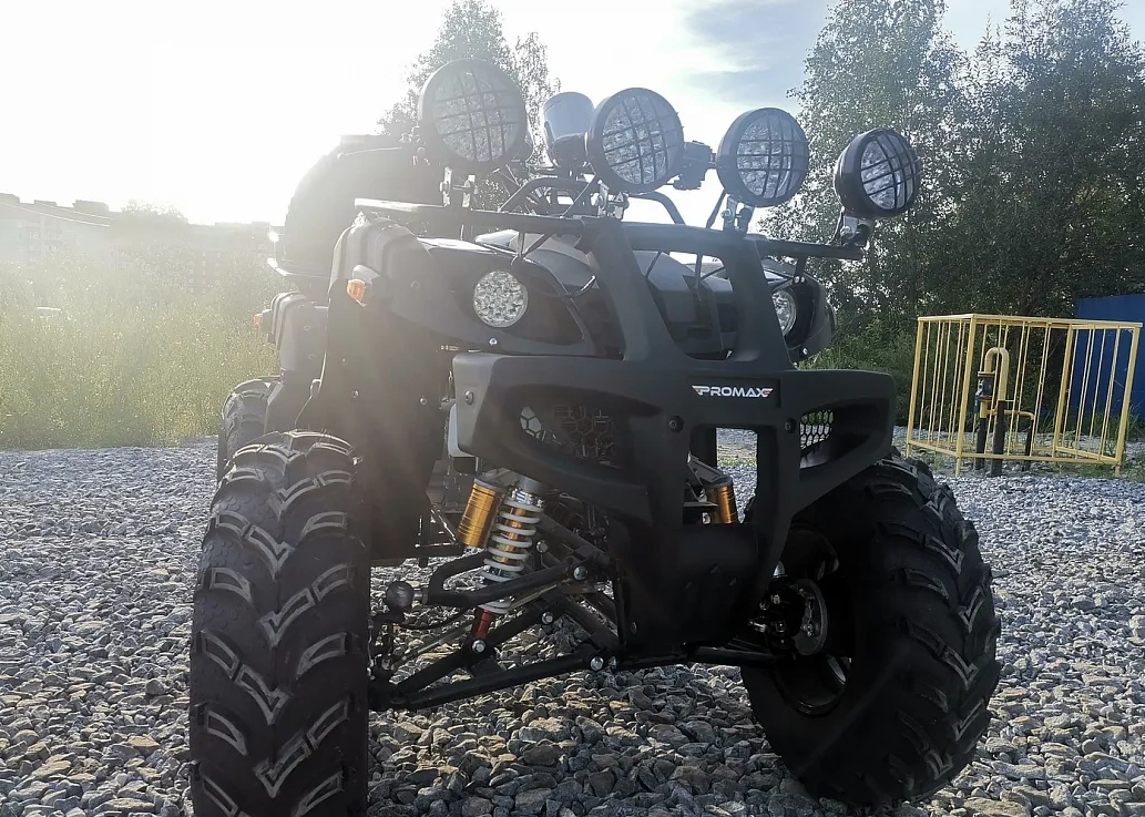 Квадроцикл PROMAX LEO 300 Max (кардан) в Нефтекамске