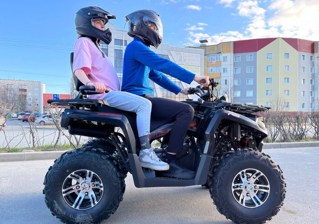 Квадроцикл PROMAX RENEGADE 300 LONG WINCH PRO (2025) в Нефтекамске