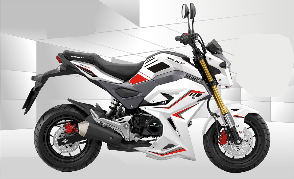 Мотоцикл PROMAX STRYKER 200(49) 2.0 в Нефтекамске