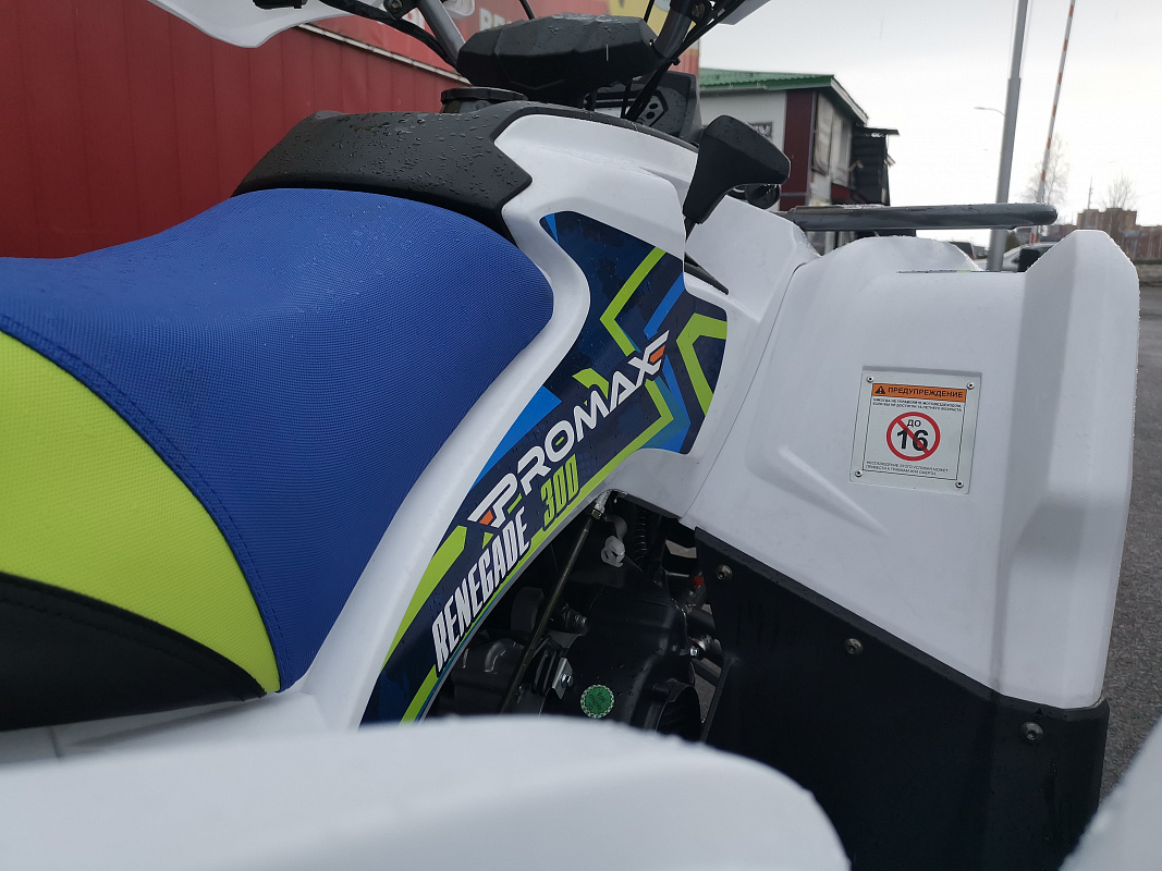 Квадроцикл PROMAX RENEGADE 280 LUX (2025) в Нефтекамске