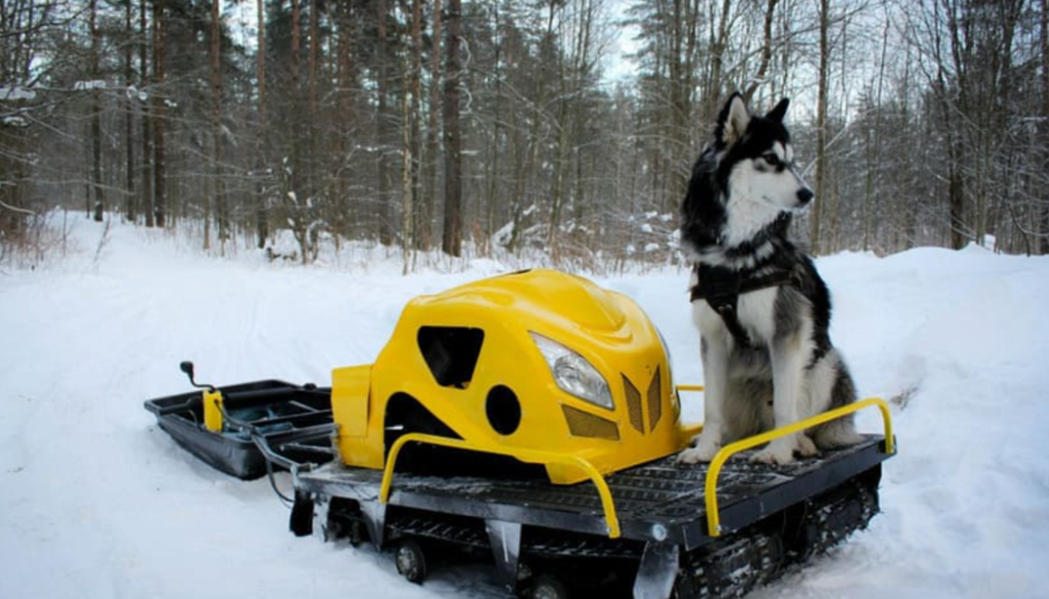 Мотобуксировщик LEBEDEV MOTORS ВОЛКОДАВ POWER V13 в Нефтекамске