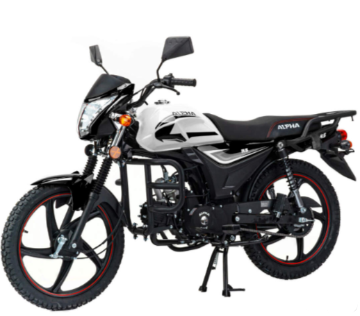 Мопед MOTOLAND (МОТОЛЕНД) Альфа RS 11 (LM48-B) в Нефтекамске