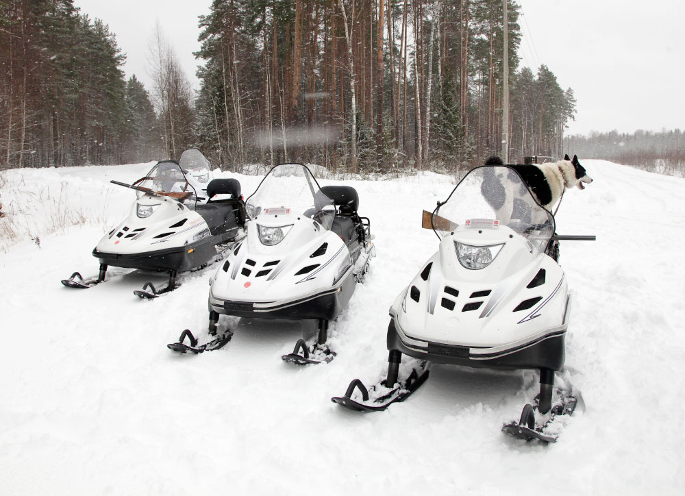 СНЕГОХОД РМ ТАЙГА ВАРЯГ 550 V в Нефтекамске