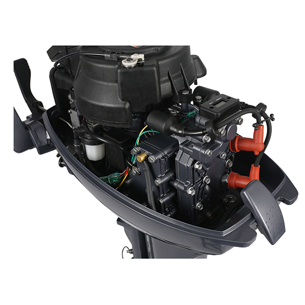 ЛОДОЧНЫЙ МОТОР ALLFA CG Т9,9 Limit в Нефтекамске