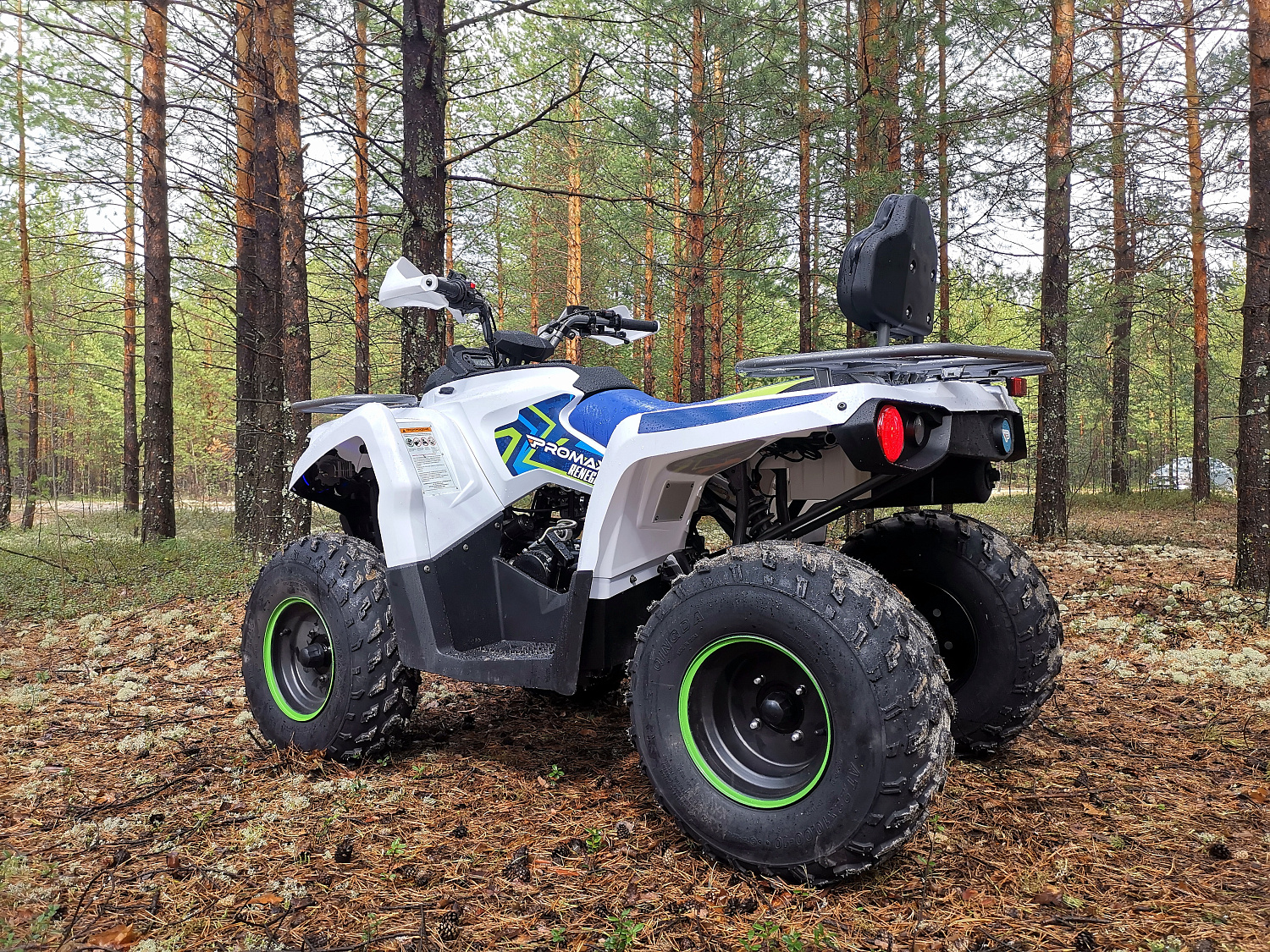 Квадроцикл PROMAX RENEGADE 280 (2025) в Нефтекамске