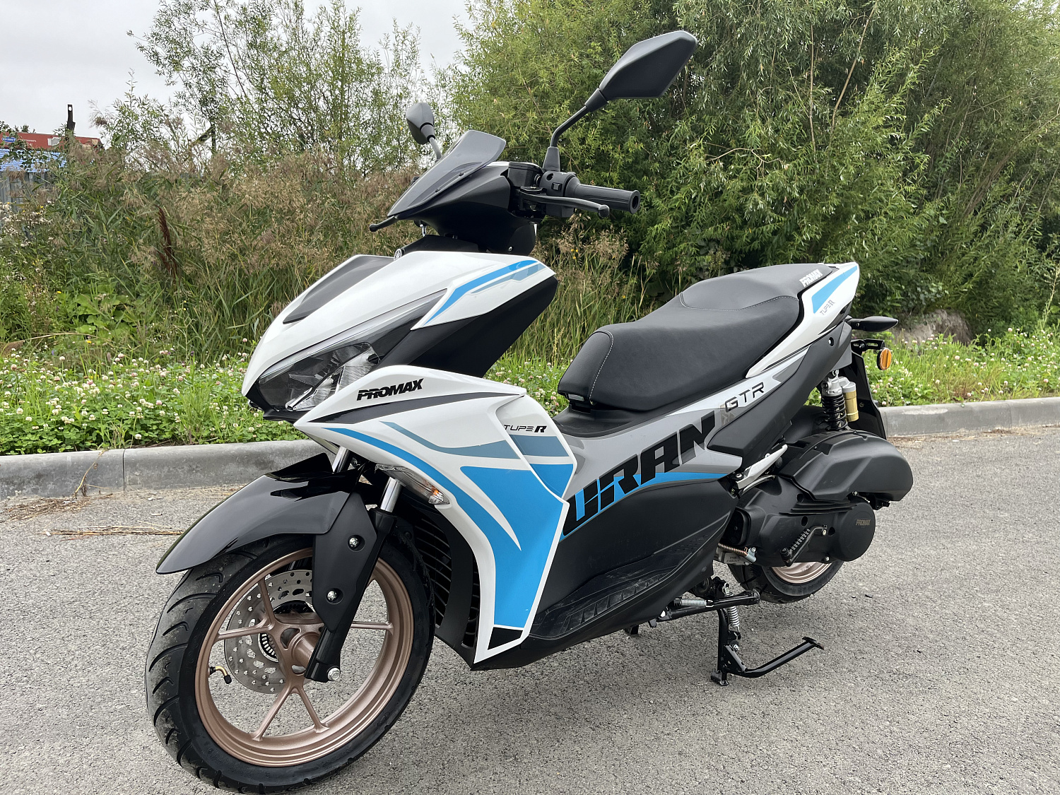 Скутер PROMAX TURAN 250 (49) в Нефтекамске