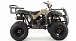 Квадроцикл MOTOLAND (МОТОЛЕНД) 200 ALL ROAD в Нефтекамске
