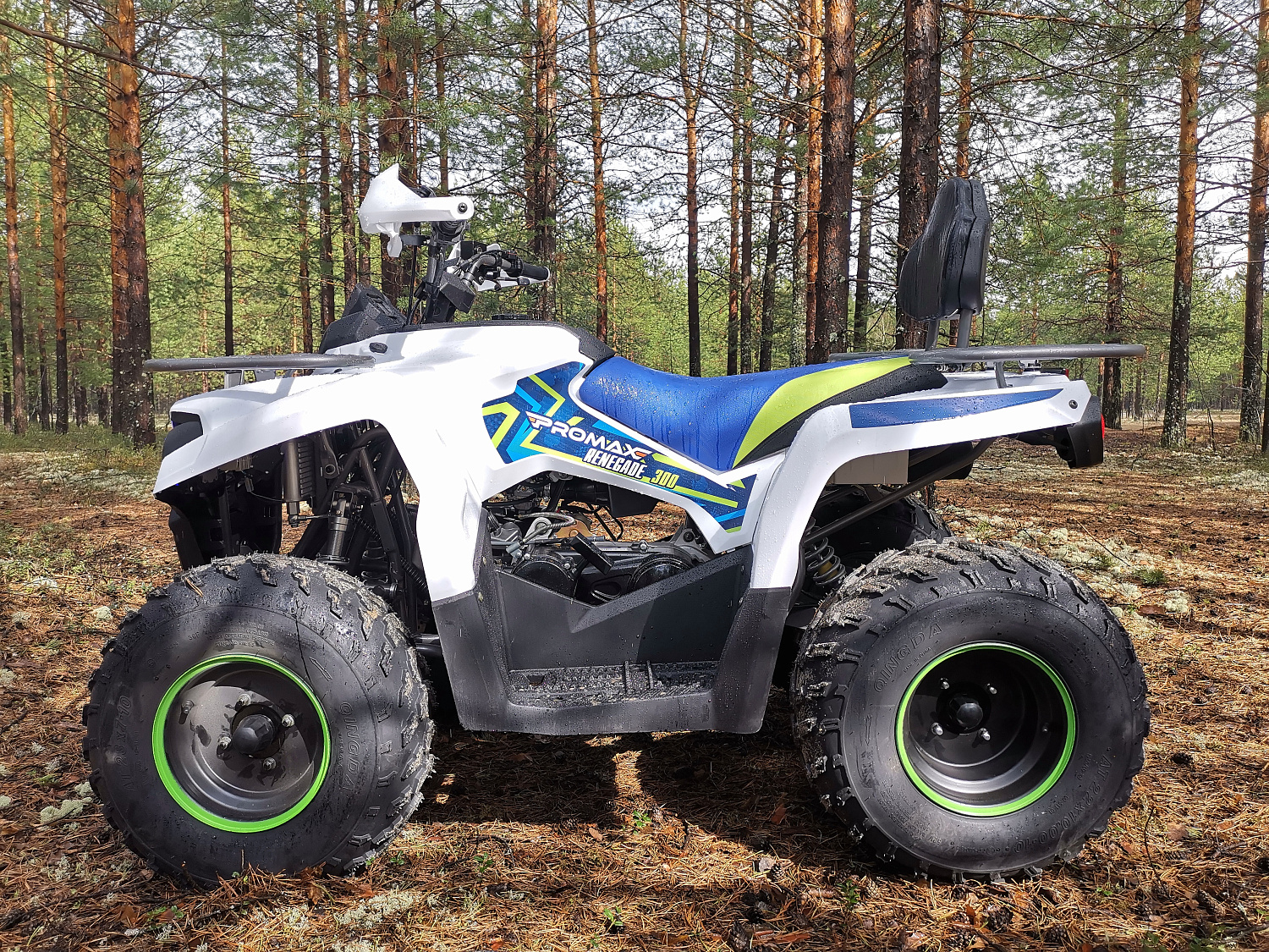 Квадроцикл PROMAX RENEGADE 280 (2025) в Нефтекамске