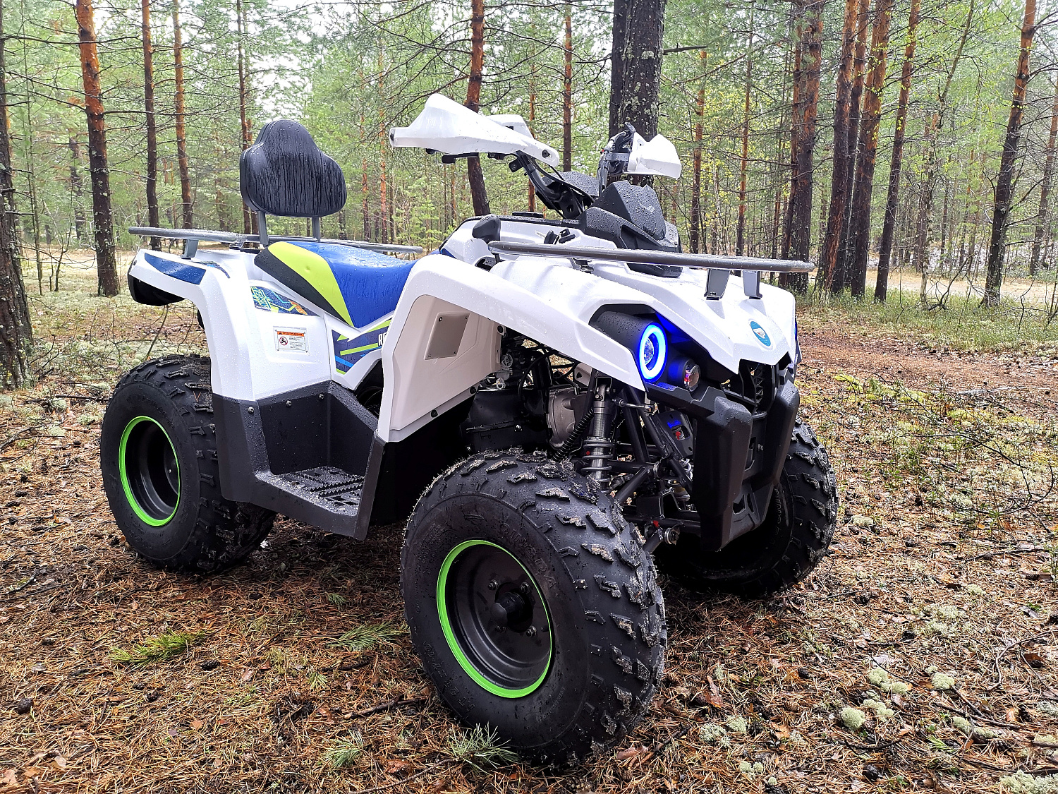 Квадроцикл PROMAX RENEGADE 280 (2025) в Нефтекамске