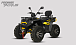 Квадроцикл PROMAX TAURUS 300 MAX-PRO LONG в Нефтекамске